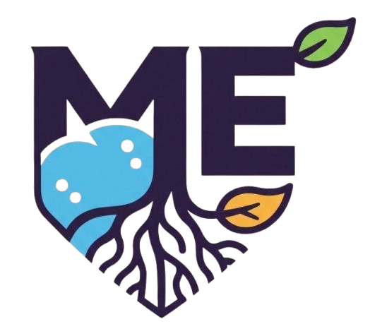 Gaming & Esports Events